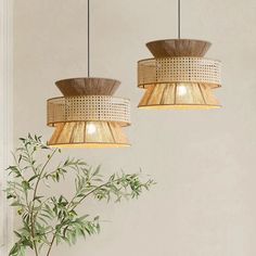 two lamps hanging from the ceiling above a plant