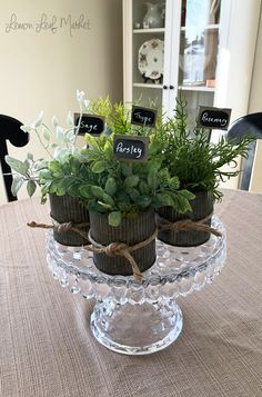 there are three potted plants on top of a glass cake plate with a price sign