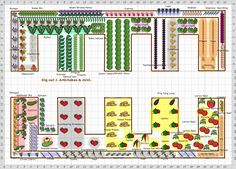 an image of a garden plan with lots of plants