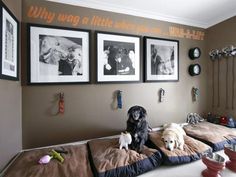 two dogs sitting on top of beds in a room with pictures hanging on the wall