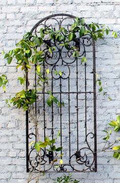 an iron trellis with green plants growing on it against a white brick wall,