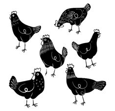 six black and white hens are standing in a circle on a white background illustration