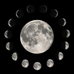 the moon is surrounded by eight different phases