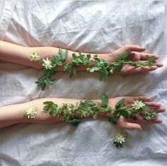 two hands with flowers and leaves on them