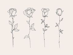 four different types of flowers are shown in black ink on a light gray background,