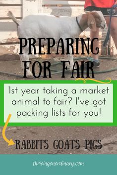 a goat with its head in the air and text explaining how to prepare for fair