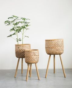 three wooden planters sitting next to each other on top of a cement floor with a potted plant in the middle