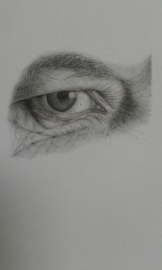 a pencil drawing of an eye