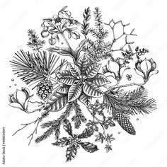 a bouquet of flowers and pine cones on a white background, hand drawn in ink