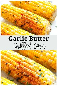 grilled corn on the cob with butter and herbs