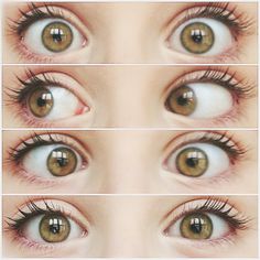 four pictures of different eyes with long lashes