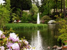 the pond is surrounded by flowers and trees