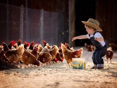 a little boy standing in front of chickens with an arabic quote on the back ground