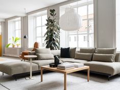 a living room filled with lots of furniture next to large windows and potted plants