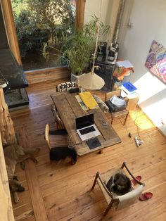 a dog laying on the floor next to a table with a laptop and chair in front of it