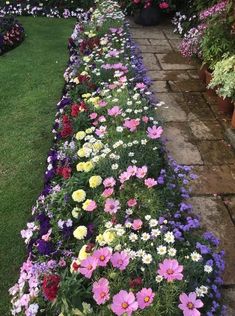 colorful flowers line the side of a garden path