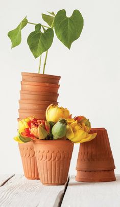 three clay flower pots with flowers in them