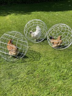 three chicken cages sitting in the grass on top of each other with chickens inside them