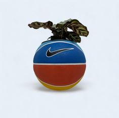 a blue and red ball with a plant in it