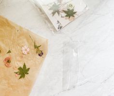 some flowers and leaves are on a piece of paper next to a package of tissues