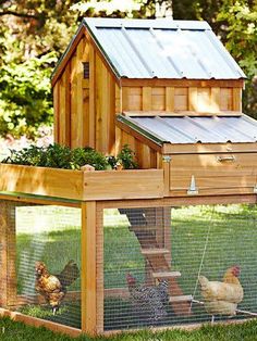 a chicken coop with chickens in it and a house on the top one is made out of wood