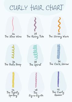 Curly Hair Number Chart, Curly Hair Chart Curl Pattern, Hair Patterns Chart, Hair Pattern Chart Natural, Hair Chart Type, Curly Hair Pattern Chart, Curly Hair Length Chart, Hair Chart Texture, Curly Types Charts