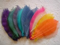 five different colored feathers are lined up in a row on a white surface, with one feather missing