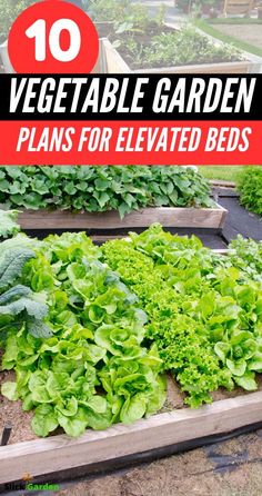 vegetable garden plans for elevated beds with text overlay that reads 10 vegetable garden plans for elevated beds