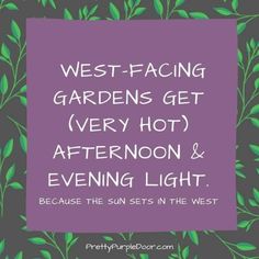 the words west - facing gardens get very hot afternoon and evening light because they sit in the