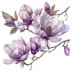 a branch with flowers and leaves painted in pastel colors on white background, watercolor