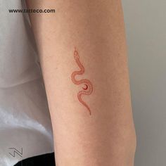 a woman's arm with a tattoo on it that has a snake drawn on it