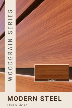 modern steel doors with woodgrain panels