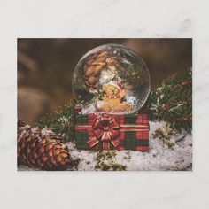 a snow globe with a teddy bear in it and a pine cone next to it