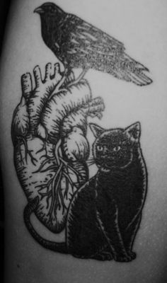 a black cat sitting on top of a heart with a bird perched on it's back