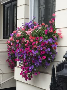 a window box filled with purple and pink flowers