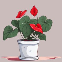 a potted plant with red flowers in it on a pink background and water drops