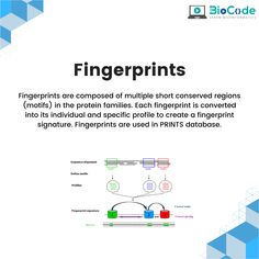 a book cover with an image of fingerprints and the words fingerprints are composed of multiple short - sleeved regions