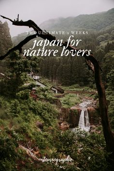 the ultimate 3 week japan for nature lovers travel guide with text overlaying an image of a waterfall