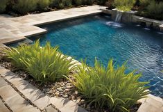 an outdoor swimming pool surrounded by plants and rocks