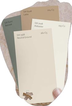 a hand holding some paint samples on top of a white plate with brown and beige colors