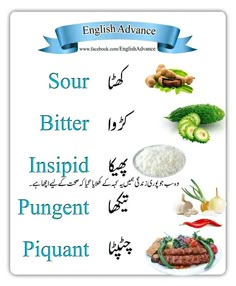 an english poster with different foods and words in the language soup bitter, inspiid, pugnet, piquant