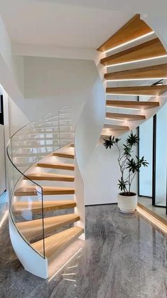 a very nice looking spiral staircase with some plants in the corner and lights on it