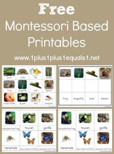 free montessoi based printables for kids to learn how to use them