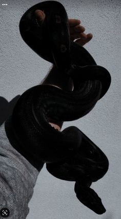 a person holding a snake up to their face