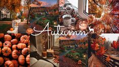 an autumn collage with pumpkins and trees