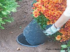 a person is digging in the dirt with a bucket full of flowers and plants behind them