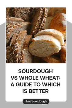 sourdough vs whole wheat a guide to which is better