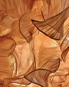 an abstract painting with wavy lines and curves in light brown, orange and black colors