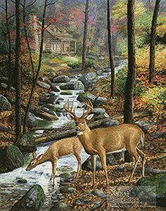 two deer standing in the woods next to a stream with a cabin in the background