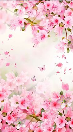 pink flowers with butterflies flying over them